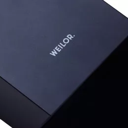 Вытяжка декоративная наклонная WEILOR WDS 62301 R BL 1000 LED